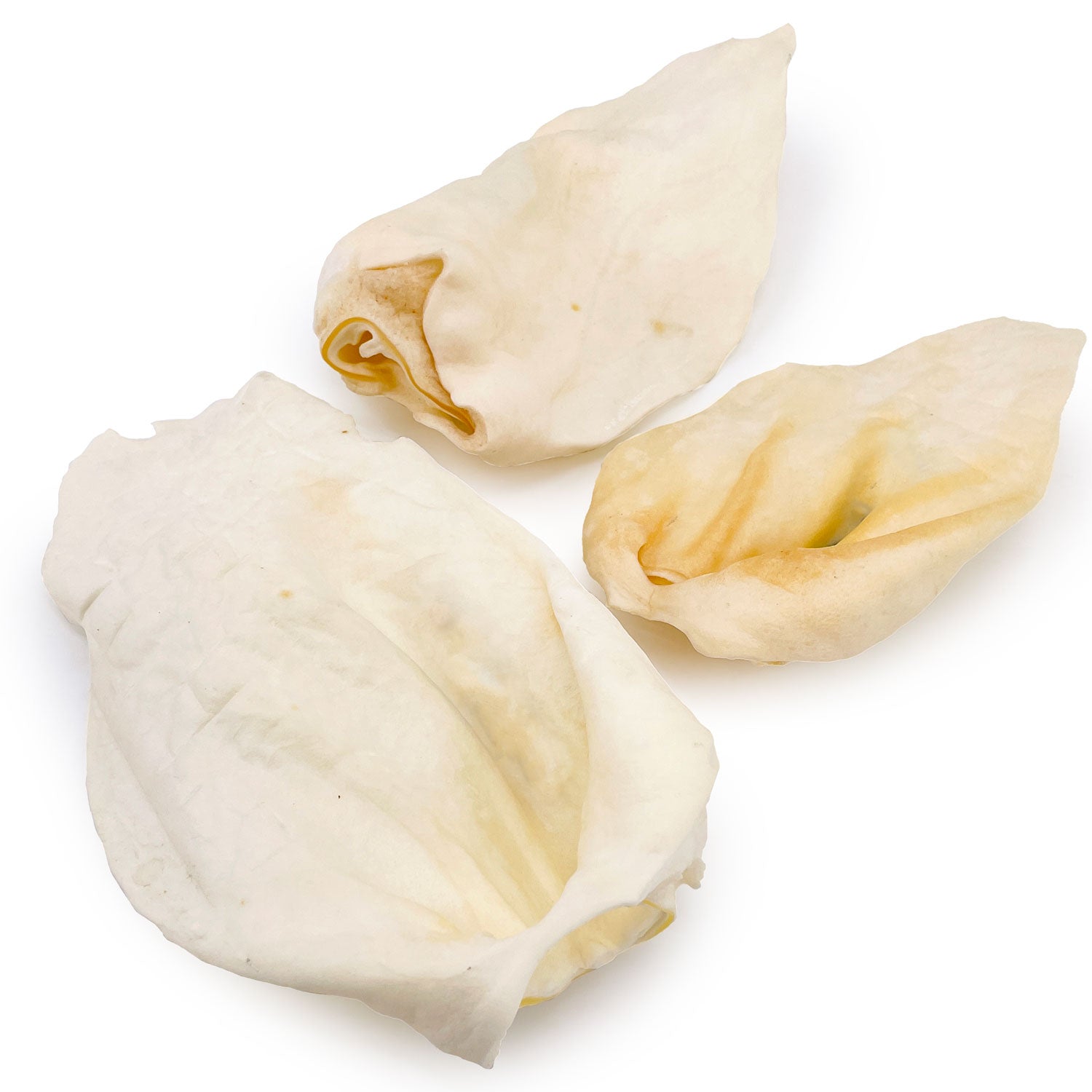 Premium Cow Ears, Large, 100 Count - Large - 100 Ears