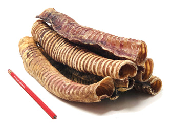 Beef Trachea, 10-12 Inch, 40 Count - Beef - 40 Tubes