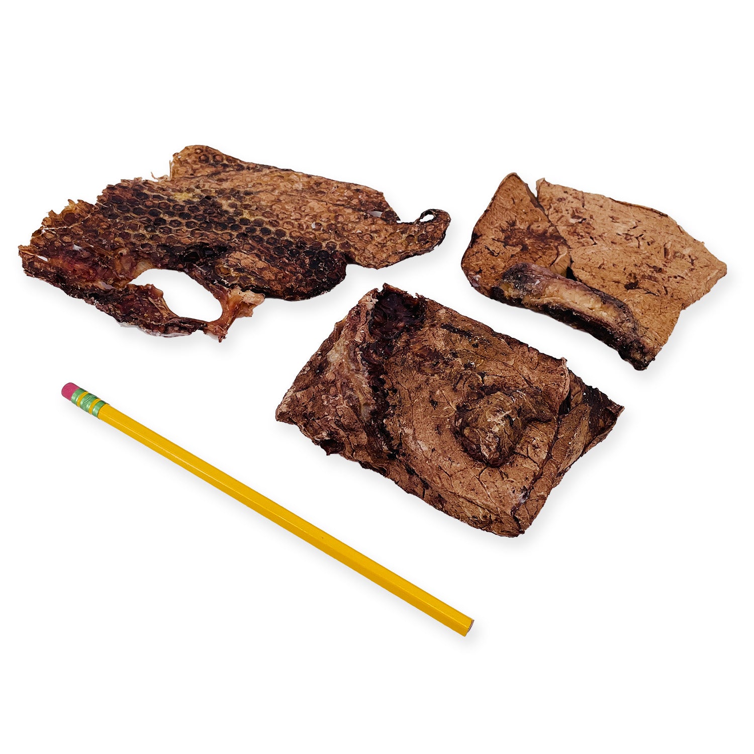 Beef Lung Wafers, 10 Pounds - Wafers - 10 Pound