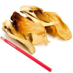 Cow Ears, Varied Sizes/Shapes, 200 Count - Beef - 200 Ears